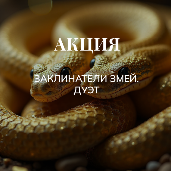 Акция Заклинатели змей. Дуэт